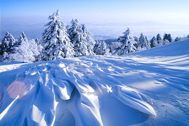 冬单页.jpg 冬单页.jpg