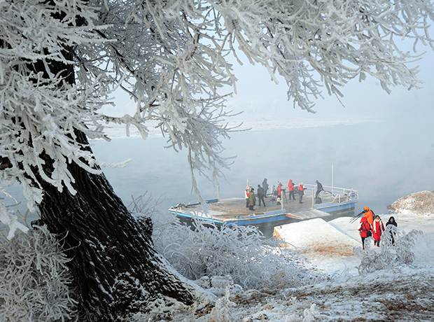 雾凇岛(韩屯)雾凇观赏带.JPG 雾凇岛(韩屯)雾凇观赏带.JPG