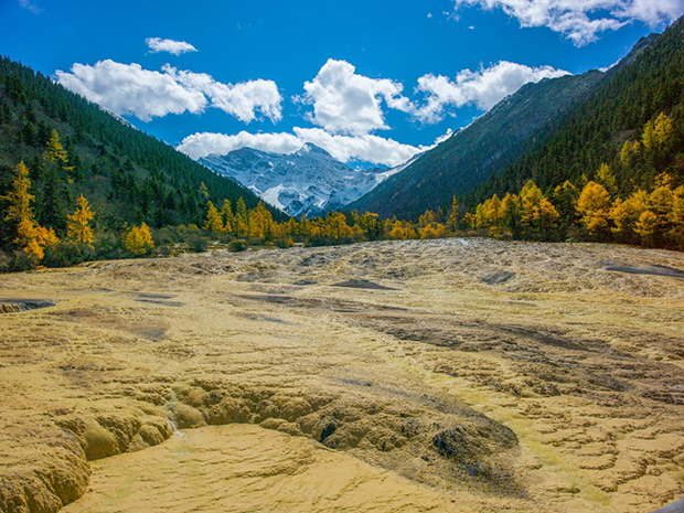 image005.jpg image005.jpg