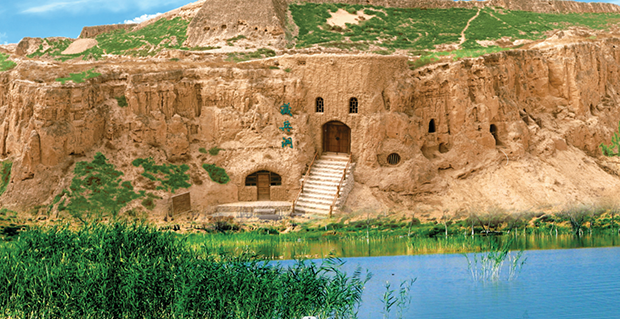 image003.png image003.png