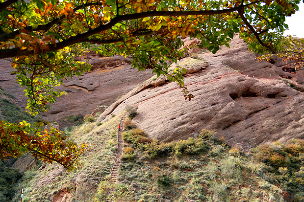 image013.jpg image013.jpg