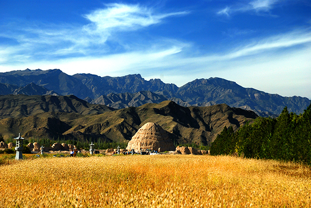 image015.jpg image015.jpg