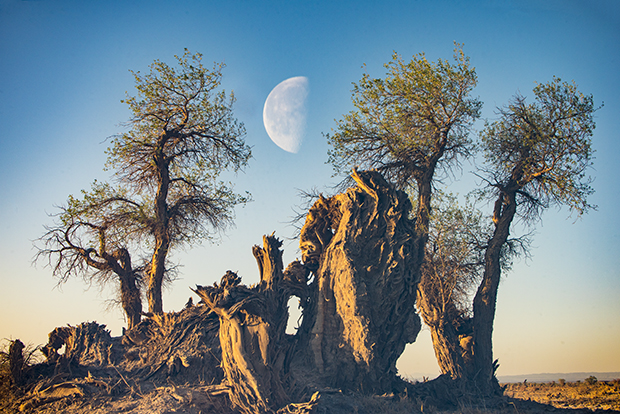 ������ͬ�ԡ����13997001822 ����.jpg