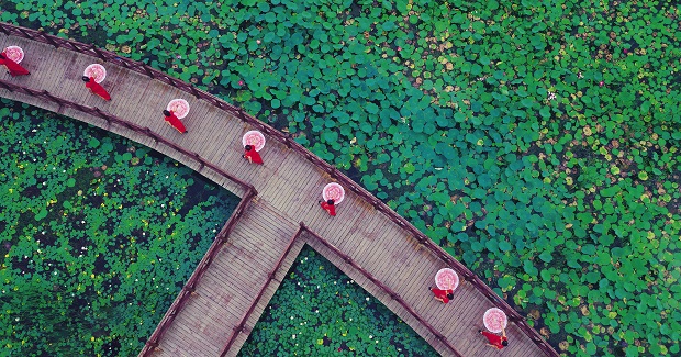 image011.jpg image011.jpg