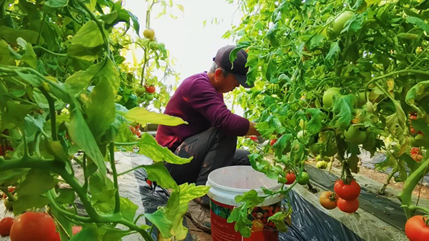 image068.jpg image068.jpg