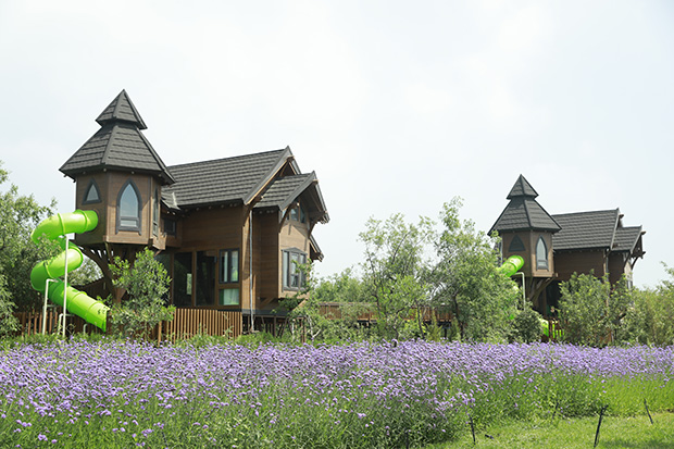 image029.jpg image029.jpg