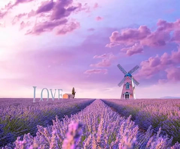 image025.png image025.png