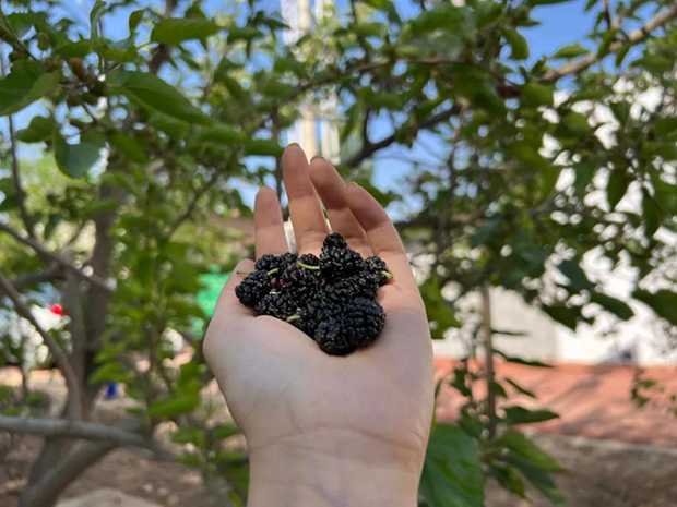 image031.jpg image031.jpg