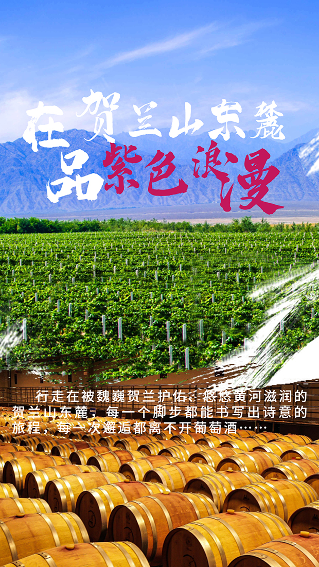 image001.jpg image001.jpg