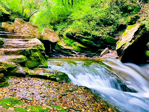 image009.jpg image009.jpg