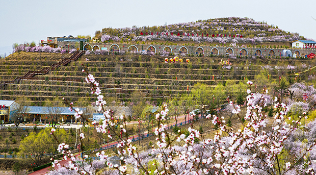 image013.jpg image013.jpg