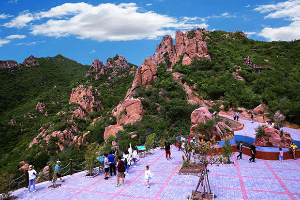 image001.jpg image001.jpg