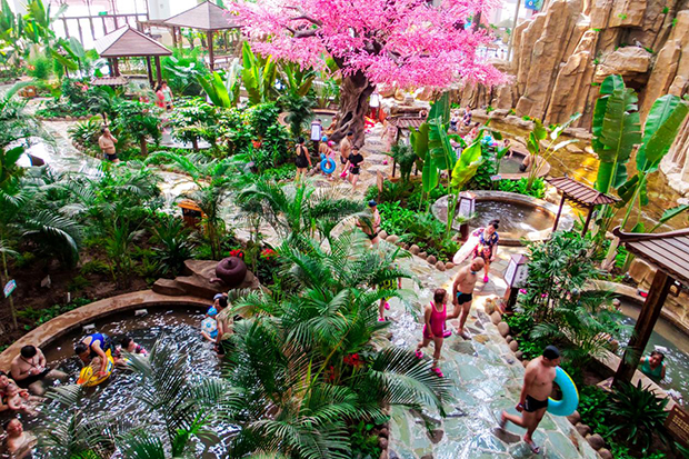 image027.jpg image027.jpg