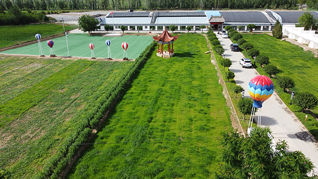 image003.jpg image003.jpg