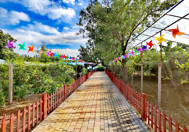 image026.jpg image026.jpg