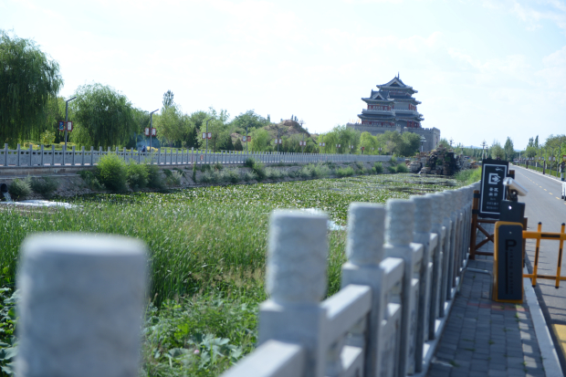 Honeyview_image011.jpg Honeyview_image011.jpg