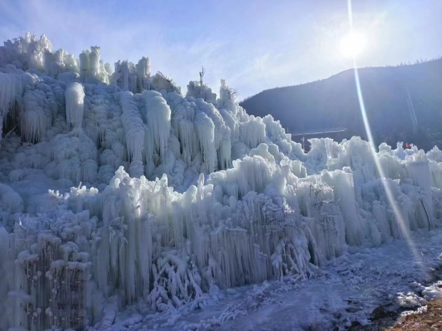 image007 (2).jpg image007 (2).jpg