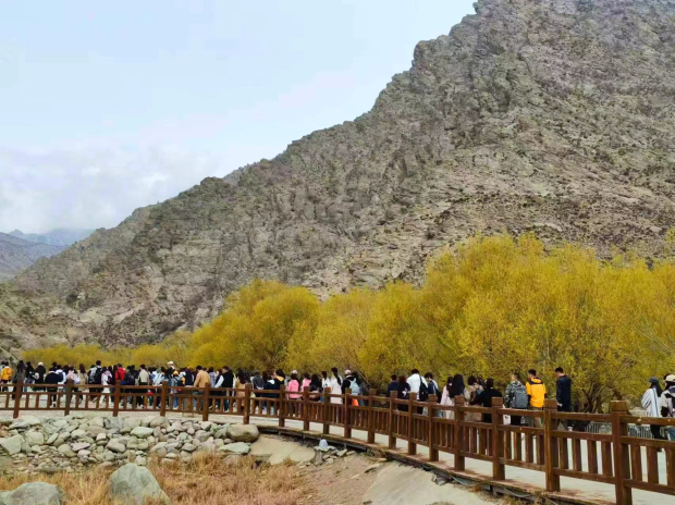 image003 (2).jpg image003 (2).jpg