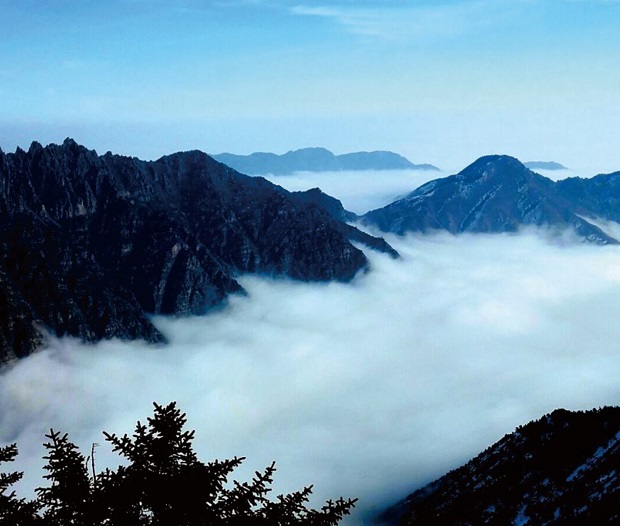 image009.jpg image009.jpg