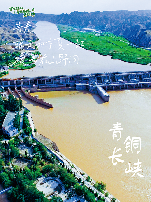 image013.png image013.png