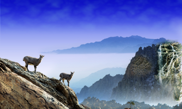 image005 (2).jpg image005 (2).jpg