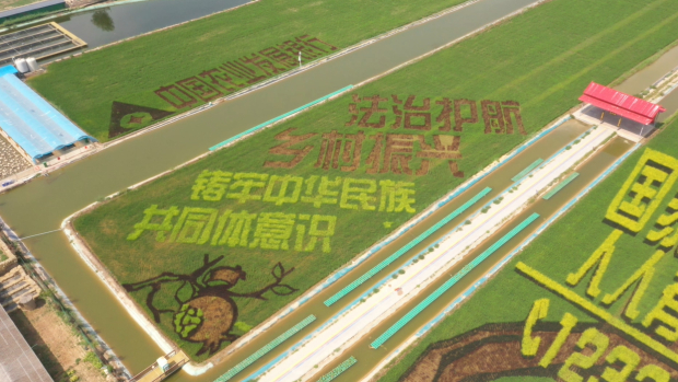 image007.jpg image007.jpg