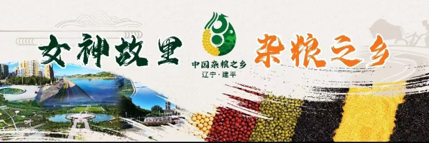 256153759947_0s.jpg 256153759947_0s.jpg