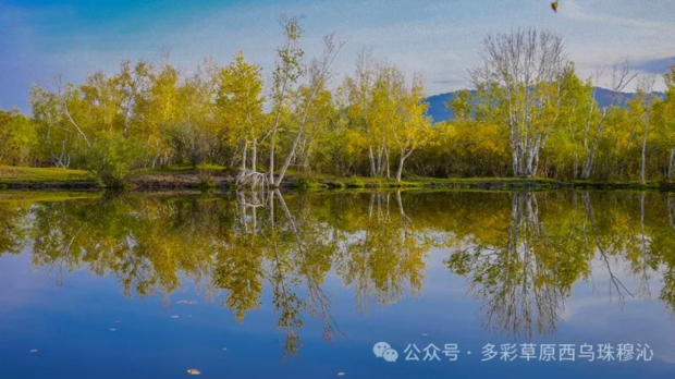 640 (15).jpg 640 (15).jpg