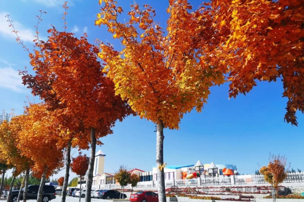 640 (26).jpg 640 (26).jpg