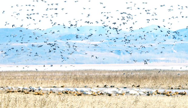 微信图片_20241105094716.jpg 微信图片_20241105094716.jpg