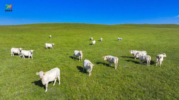 微信图片_20241118085014 (2).jpg 微信图片_20241118085014 (2).jpg