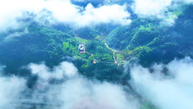 微信图片_20250331151132 (2).jpg 微信图片_20250331151132 (2).jpg