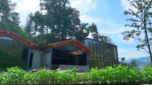 微信图片_20250331151139 (2).jpg 微信图片_20250331151139 (2).jpg