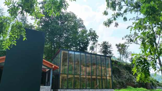 微信图片_20250331151142 (2).jpg 微信图片_20250331151142 (2).jpg