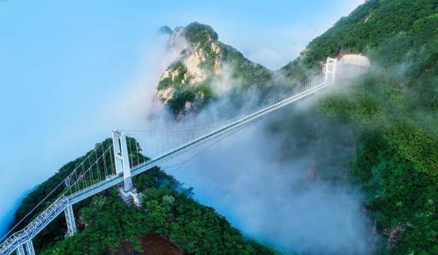 image005.jpg image005.jpg