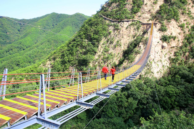 image007 (2).jpg image007 (2).jpg